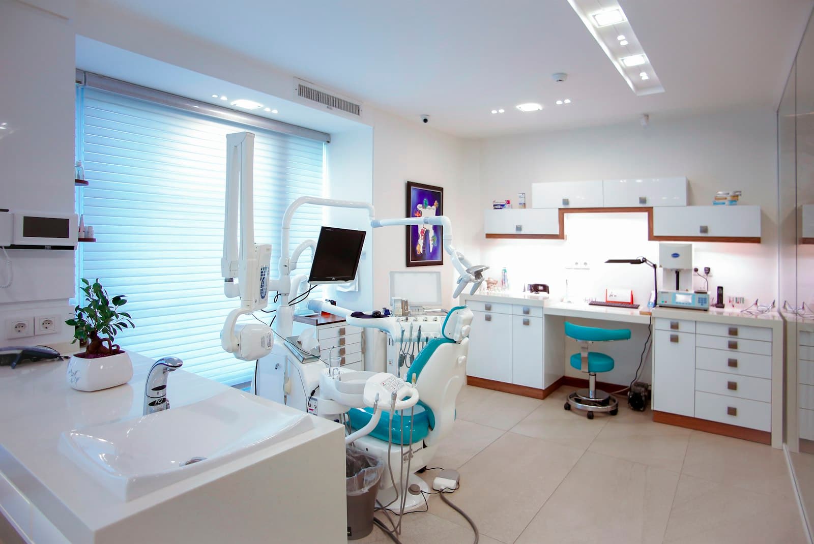 Checkups & Cleanings